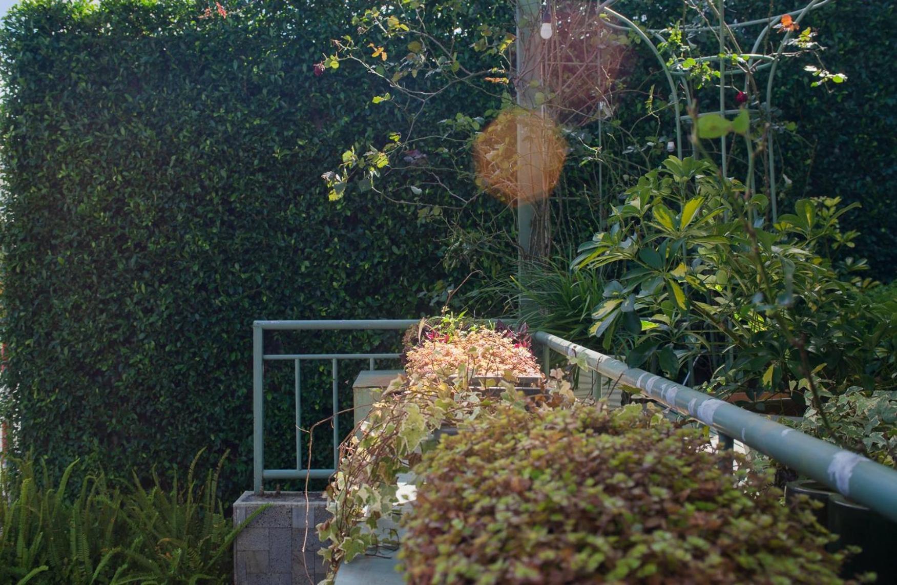 Le Soleil Boutique Hotel Da Lat Eksteriør billede