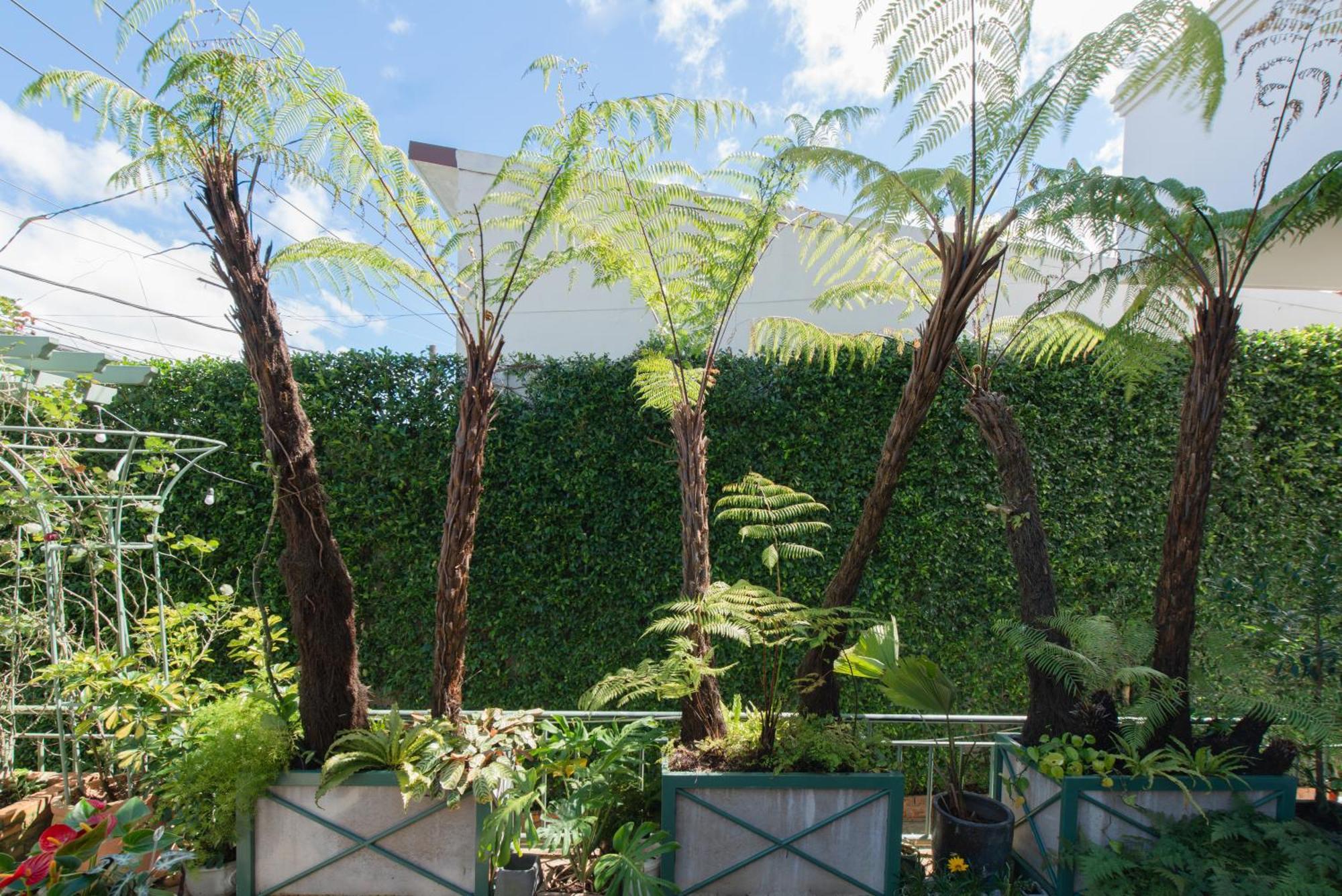 Le Soleil Boutique Hotel Da Lat Eksteriør billede