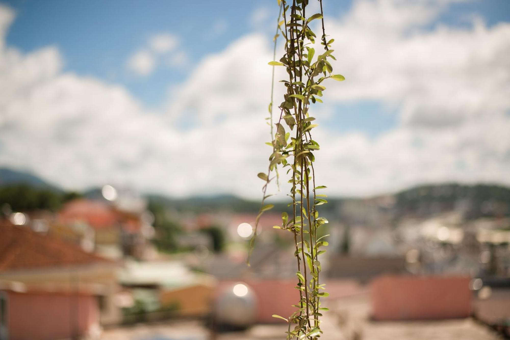 Le Soleil Boutique Hotel Da Lat Eksteriør billede