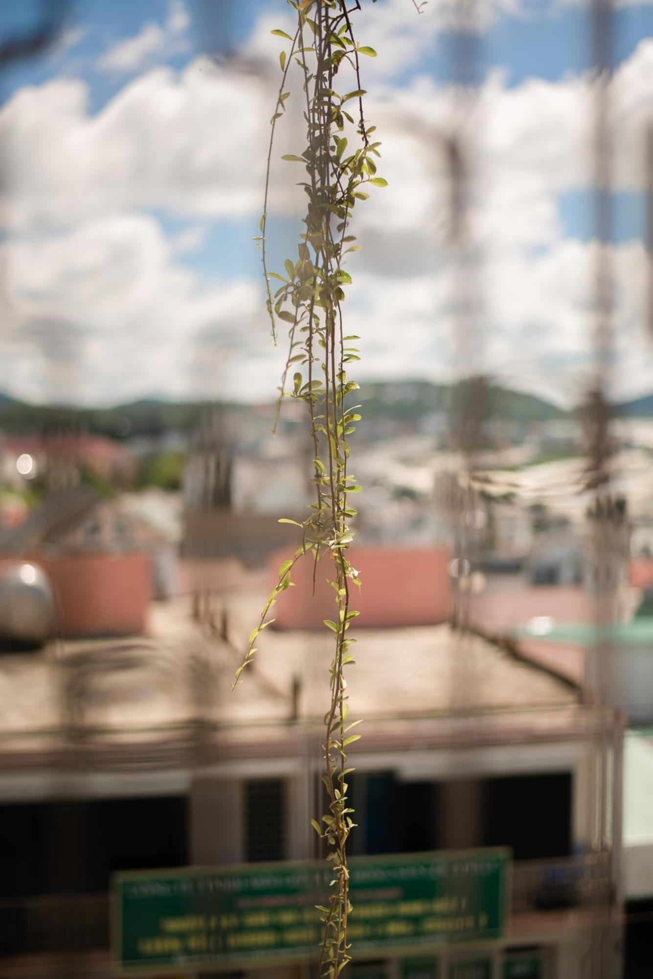 Le Soleil Boutique Hotel Da Lat Eksteriør billede